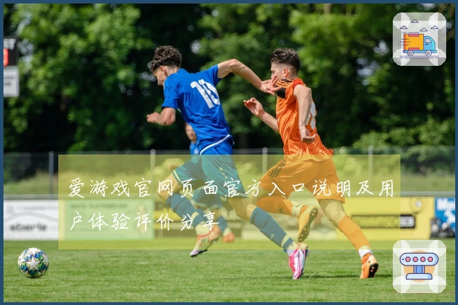 爱游戏官网页面官方入口说明及用户体验评价分享