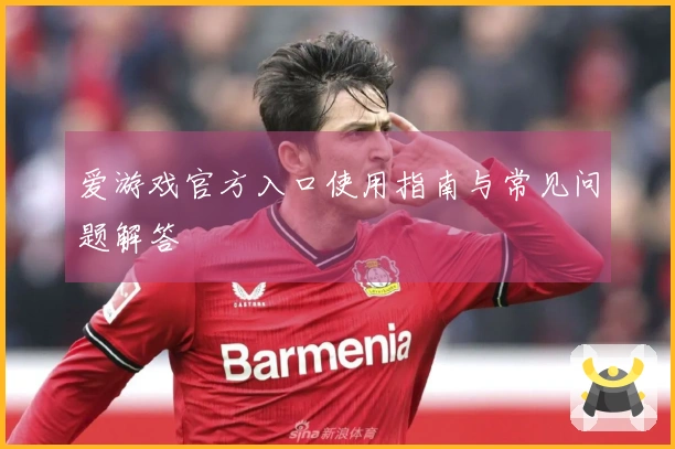 爱游戏官方入口使用指南与常见问题解答