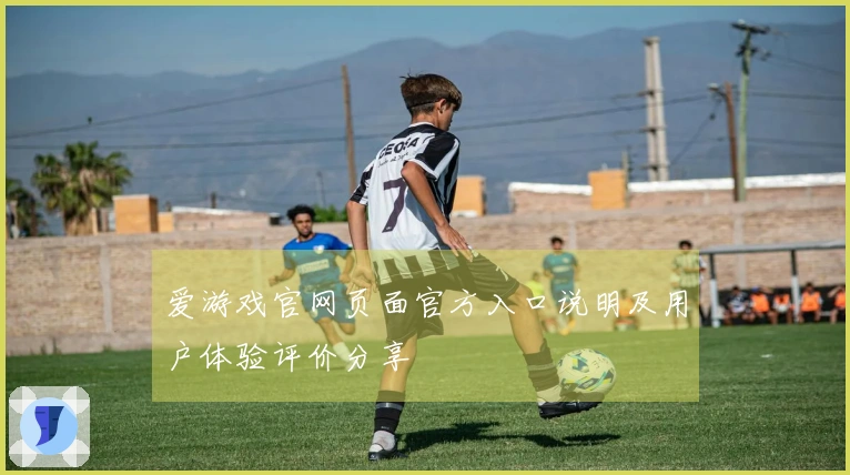 爱游戏官网页面官方入口说明及用户体验评价分享