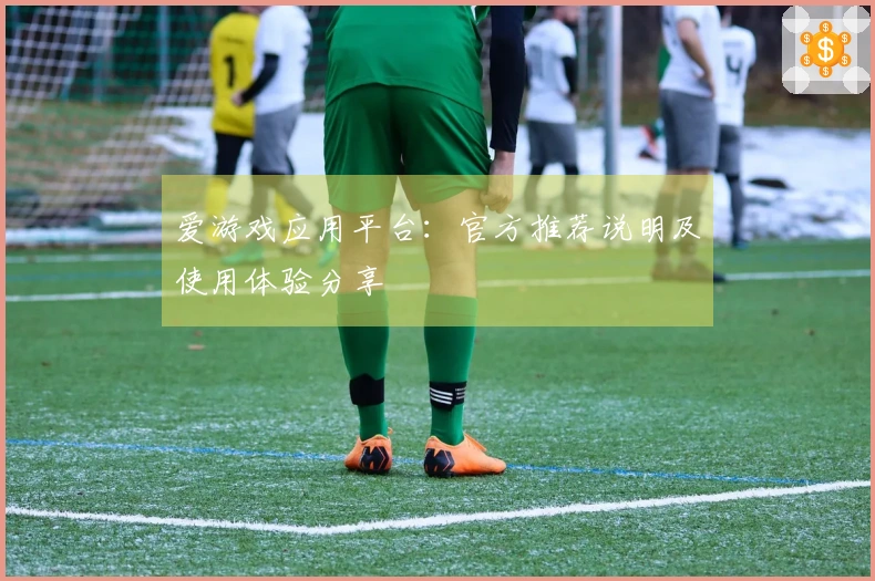 爱游戏应用平台：官方推荐说明及使用体验分享